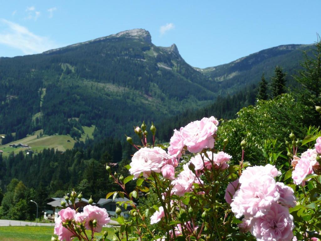 Gaestehaus Schuler Riezlern Extérieur photo